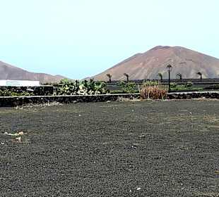 Inselrundfahrt AIDA Tagestour