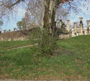 Rosengarten Stuttgart