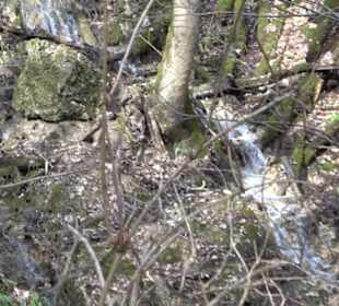 Gütersteiner Wasserfall