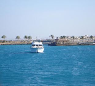 Ausblick aufs Festland