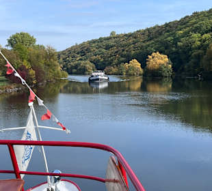 Schiffsrundfahrt zur Mainschleife