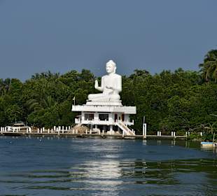 Bentota Fluss- und Mangroven Tour