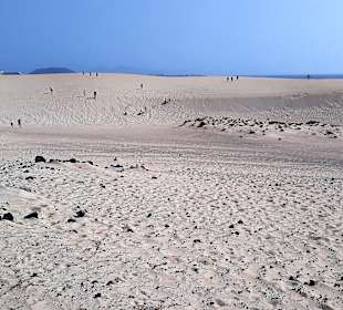 Dünen von Corralejo