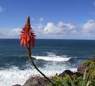 An der Promenade in Jardim Do Mar
