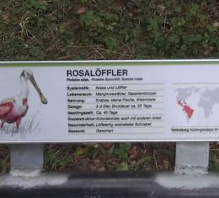 Vogelfreifluggelände