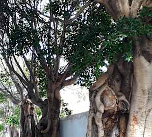 Platz vor der Kirche