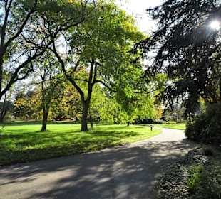 Rundgang durch den Botanischen Garten Hamburg