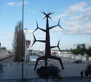 Unterwegs im Park der Nationen