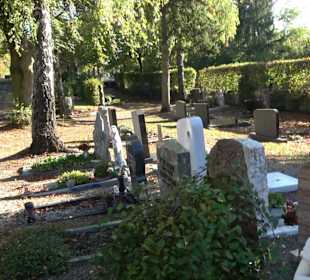 Friedhof Thalfingen