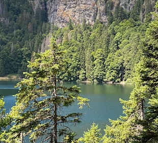 Feldsee