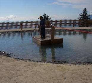 Ausflug Triassic Steinplatte