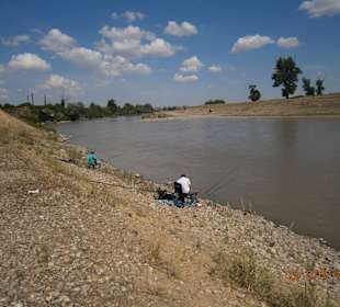 Fishing from the shore