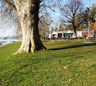 Restaurant am Bootshafen