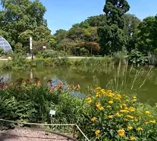 Flora und Botanischer Garten