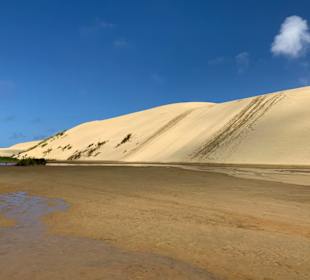 Spuren des Sanddünensurfens