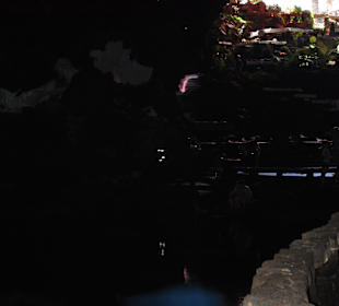 Jameos del Agua nicht besonders sehenswert