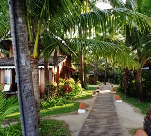 Weg v. Strand zum Bungalow