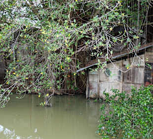 Pocztówki z Malakki - starówka 