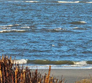 Strand Hörnum