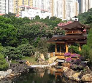 Stille im lauten Hongkong 