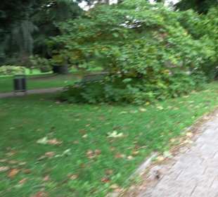 Kneipp Anlage Kressbronn