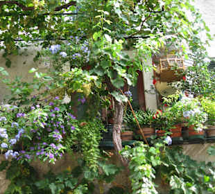 Idyllisches Kleinod in der Altstadt von Malcesine