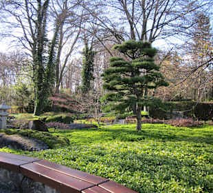 Japan Garten