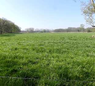 Weite am Niederrhein