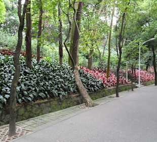Yuexiu Park