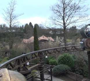 Fantasy - Der lustige Papagei