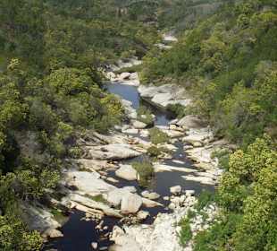 Der Dampflok fährt durch wunderschöne Landschaften