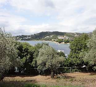 Oberhalb der Bucht - ursprüngliche Landschaft
