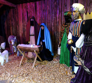 Impressionen vom Göttinger Weihnachtsmarkt