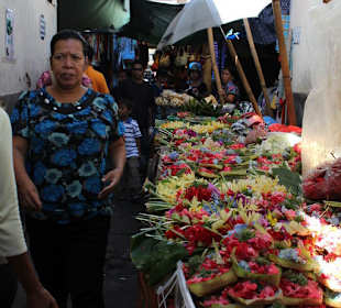 Mit Freddy auf dem Markt