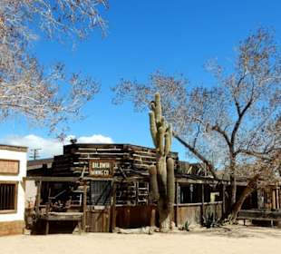 Altes Gebäude mit riesigem Kaktus