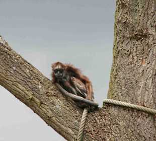 Serengeti Park Hodenhagen