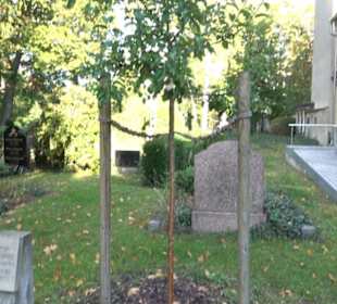 Dorotheenstädtischer Friedhof