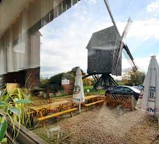 Aussicht auf die Mühle