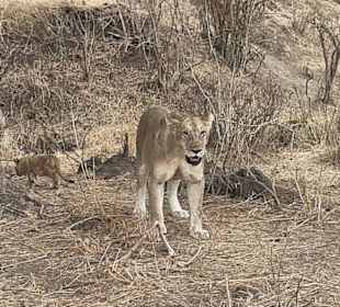 Tourguides Nabil & Klaus Mohamed