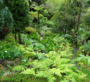 Rundgang durch den Monte Palace Tropical Garden