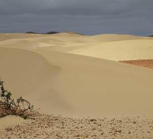 Blick über die Deserto de Viana 
