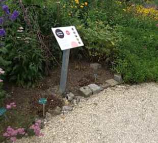 ALB-GOLD Naturgarten