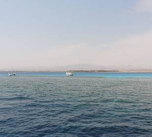 Schöne Riffe in Hotelnähe