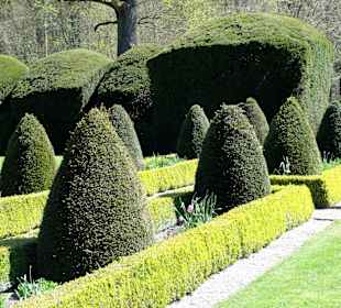 Klostergarten mit 200-jähriger Taxushecke