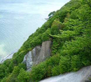 Blick vom Königsstuhl