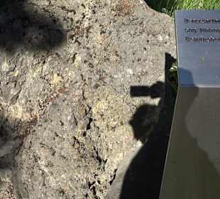 Geologischer Lehrgarten