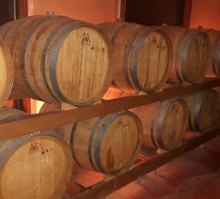 Führung Weinkellerei Boutari