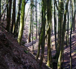 Wanderung zum Wasserfall
