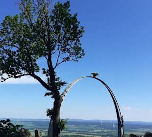 Adlerbogen in Dannenfels
