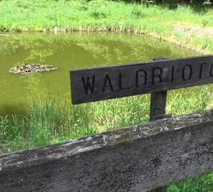 Klimaweg Sonnenalb